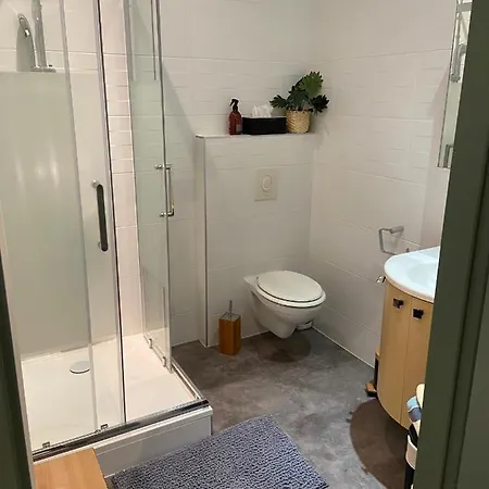 Cosy Plein Centre De Apartamento *